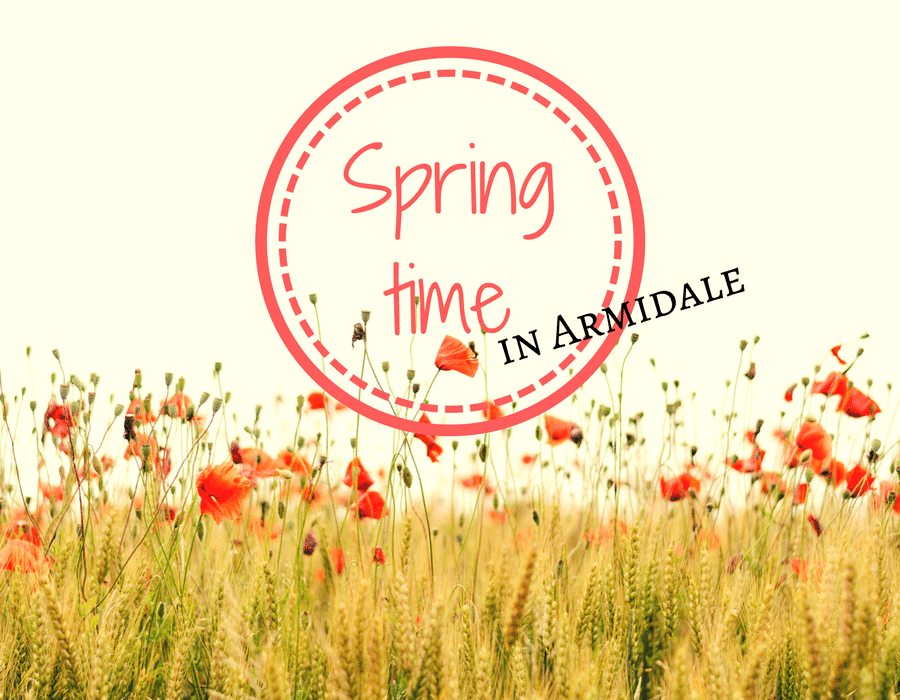 10 Things to do in Armidale during Spring -